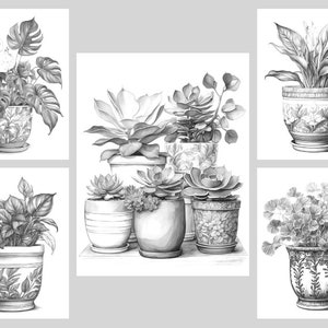 Pode incluir: Uma cole&ccedil;&atilde;o de seis desenhos a l&aacute;pis em preto e branco de plantas em vasos. As plantas incluem uma monstera, um l&iacute;rio da paz, uma suculenta e uma samambaia. Os vasos s&atilde;o todos de designs diferentes e t&ecirc;m um visual vintage.