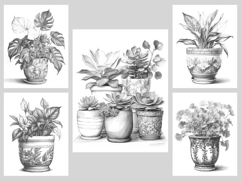 Pode incluir: Uma cole&ccedil;&atilde;o de seis desenhos a l&aacute;pis em preto e branco de plantas em vasos. As plantas incluem uma monstera, um l&iacute;rio da paz, uma suculenta e uma samambaia. Os vasos s&atilde;o todos de designs diferentes e t&ecirc;m um visual vintage.