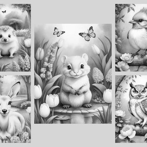 May include: Black and white illustration of five different animals in nature settings. A hedgehog, a deer, a hamster, an owl, and a blue jay are depicted in a whimsical style.