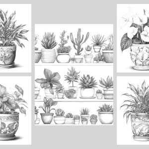 Pode incluir: Uma cole&ccedil;&atilde;o de cinco desenhos a l&aacute;pis em preto e branco de plantas em vasos. Os desenhos apresentam uma variedade de plantas, incluindo l&iacute;rios da paz, suculentas e ant&uacute;rios. As plantas est&atilde;o todas em vasos decorativos com designs intrincados.