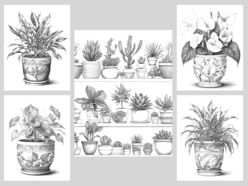 Pode incluir: Uma cole&ccedil;&atilde;o de cinco desenhos a l&aacute;pis em preto e branco de plantas em vasos. Os desenhos apresentam uma variedade de plantas, incluindo l&iacute;rios da paz, suculentas e ant&uacute;rios. As plantas est&atilde;o todas em vasos decorativos com designs intrincados.