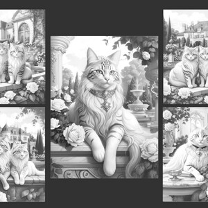 May include: A black and white illustration of five cats in a garden setting. The cats are all sitting or standing on stone walls or steps. There are roses and other flowers in the garden.