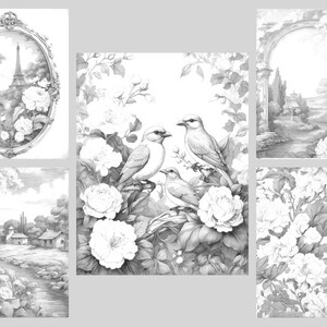 May include: A black and white coloring book page featuring five different scenes. The scenes include a Parisian cityscape with the Eiffel Tower, a garden with birds and flowers, a garden archway, a country landscape with a stream, and a floral pattern.