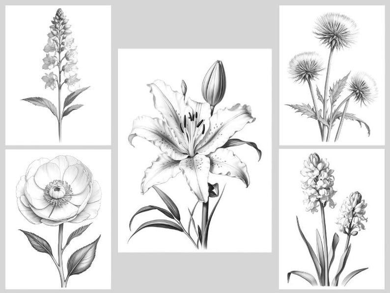 May include: A set of six black and white illustrations of different flowers. The flowers include a lily, a hyacinth, a dandelion, a poppy, and two types of bellflowers.
