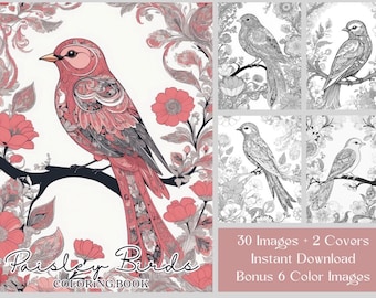 30 Bird Coloring Pages, Paisley Birds Coloring Book, Grayscale Printable Cute Bird And Flower Paisley Patterned Coloring For Adults & Kids