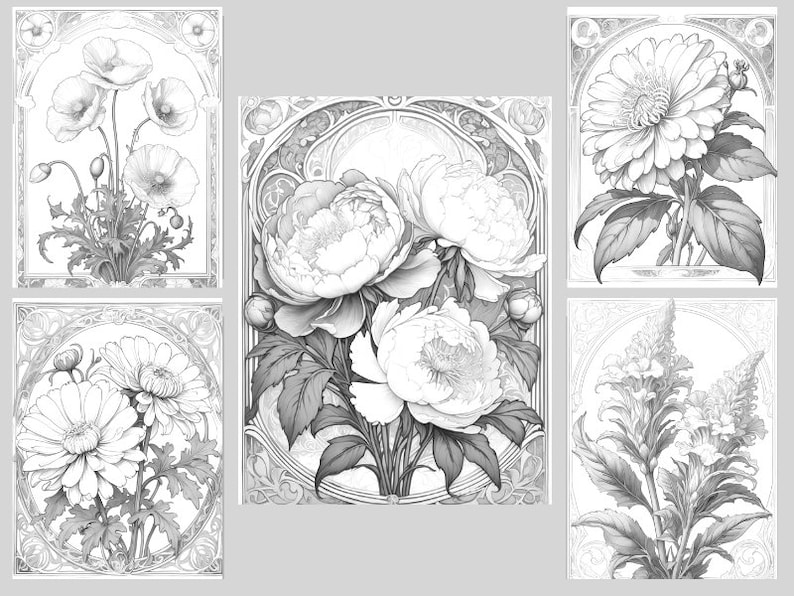 May include: Five black and white line drawings of different flowers in ornate frames. The flowers include a poppy, a peony, a daisy, a dahlia, and a flower with a tall, thin stem.