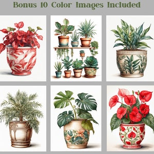 Pode incluir: Dez ilustra&ccedil;&otilde;es de plantas em vasos, cada uma com um tipo de planta e um vaso diferentes. As plantas s&atilde;o desenhadas em um estilo realista com folhas e flores detalhadas. Os vasos s&atilde;o todos de formas e tamanhos diferentes, e alguns t&ecirc;m padr&otilde;es decorativos.