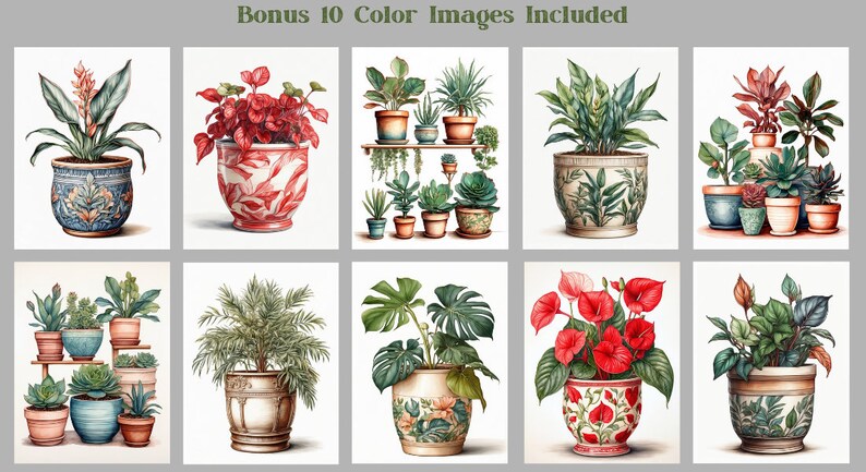 Pode incluir: Dez ilustra&ccedil;&otilde;es de plantas em vasos, cada uma com um tipo de planta e um vaso diferentes. As plantas s&atilde;o desenhadas em um estilo realista com folhas e flores detalhadas. Os vasos s&atilde;o todos de formas e tamanhos diferentes, e alguns t&ecirc;m padr&otilde;es decorativos.