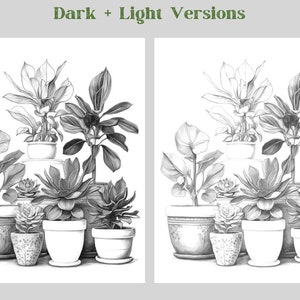 Pode incluir: Um desenho a l&aacute;pis preto e branco de um grupo de plantas em vasos. O desenho inclui uma variedade de plantas, incluindo suculentas, samambaias e uma grande planta de folhas. As plantas est&atilde;o dispostas em um grupo, com a planta maior no centro. O desenho &eacute; feito em um estilo realista, com sombreamento e textura detalhados.