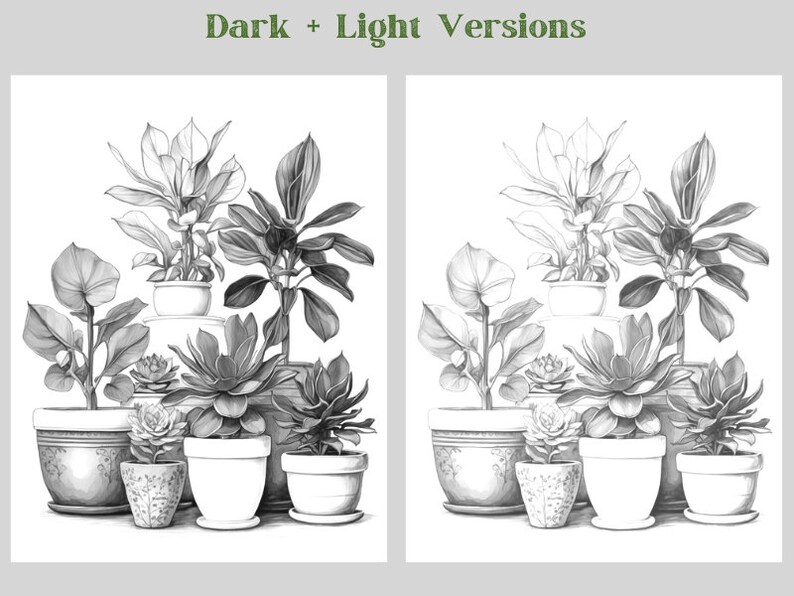 Pode incluir: Um desenho a l&aacute;pis preto e branco de um grupo de plantas em vasos. O desenho inclui uma variedade de plantas, incluindo suculentas, samambaias e uma grande planta de folhas. As plantas est&atilde;o dispostas em um grupo, com a planta maior no centro. O desenho &eacute; feito em um estilo realista, com sombreamento e textura detalhados.