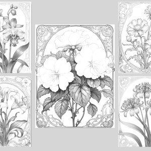 May include: Five black and white illustrations of different flowers in ornate frames. The flowers are orchids, hibiscus, lilies, carnations, and spider lilies.