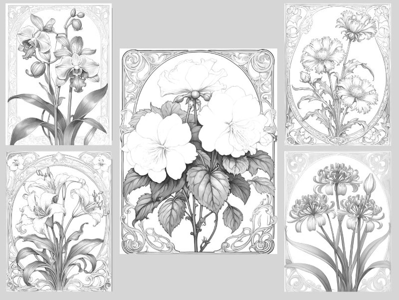 May include: Five black and white illustrations of different flowers in ornate frames. The flowers are orchids, hibiscus, lilies, carnations, and spider lilies.