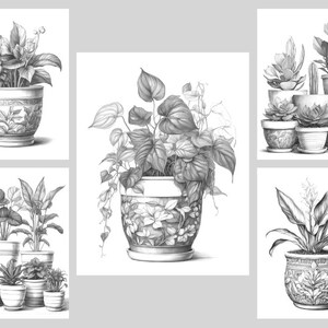Pode incluir: Cinco desenhos a l&aacute;pis em preto e branco de plantas em vasos. Os desenhos s&atilde;o de estilo realista e mostram as plantas em diferentes vasos com designs intrincados.