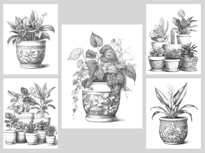 Pode incluir: Cinco desenhos a l&aacute;pis em preto e branco de plantas em vasos. Os desenhos s&atilde;o de estilo realista e mostram as plantas em diferentes vasos com designs intrincados.