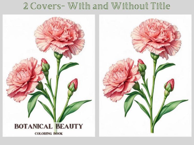 May include: Two covers for a coloring book featuring a pink carnation flower with green leaves and buds. The text "Botanical Beauty Coloring Book" is on the cover on the left.