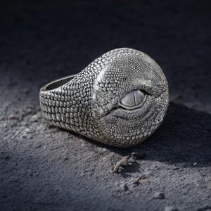 925K Sterling Silber Auge des Drachen Rings: Wikinger Schmuck Gothic Drachenauge Ring für Männer