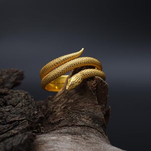 Twisted Snake Band Ring For Men, Serpent Ring, Gothic Snake Ring, Punk Jewelry, Adjustable Snake Ring, Spiral Snake Ring, Gothic Gift Him