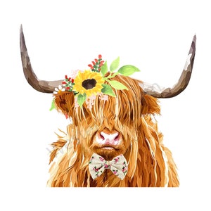Fancy Highland Sublimation Transfer