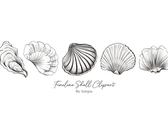 Fineline seashells clipart, PNG images, seashells, thin line, instant download