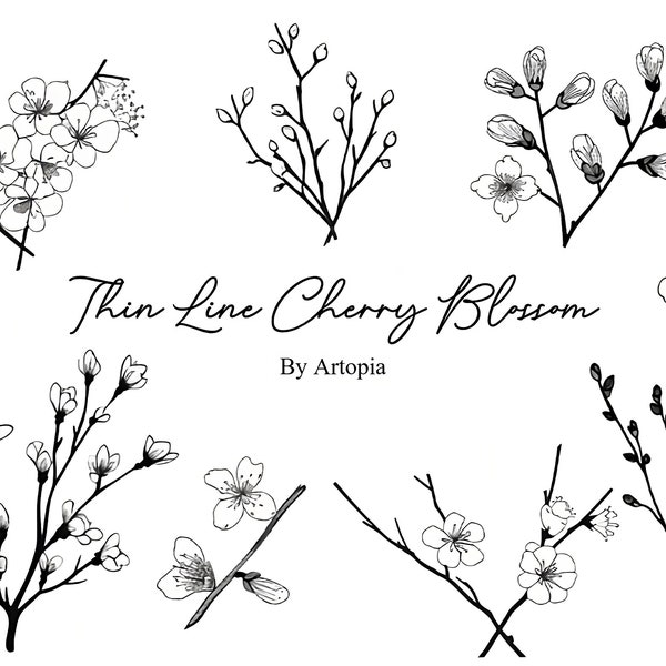 Thin Line Cherry Blossom Paintings, clipart PNG, Fine Line cherry blossoms, bundle tattoo cherry blossom, instant download