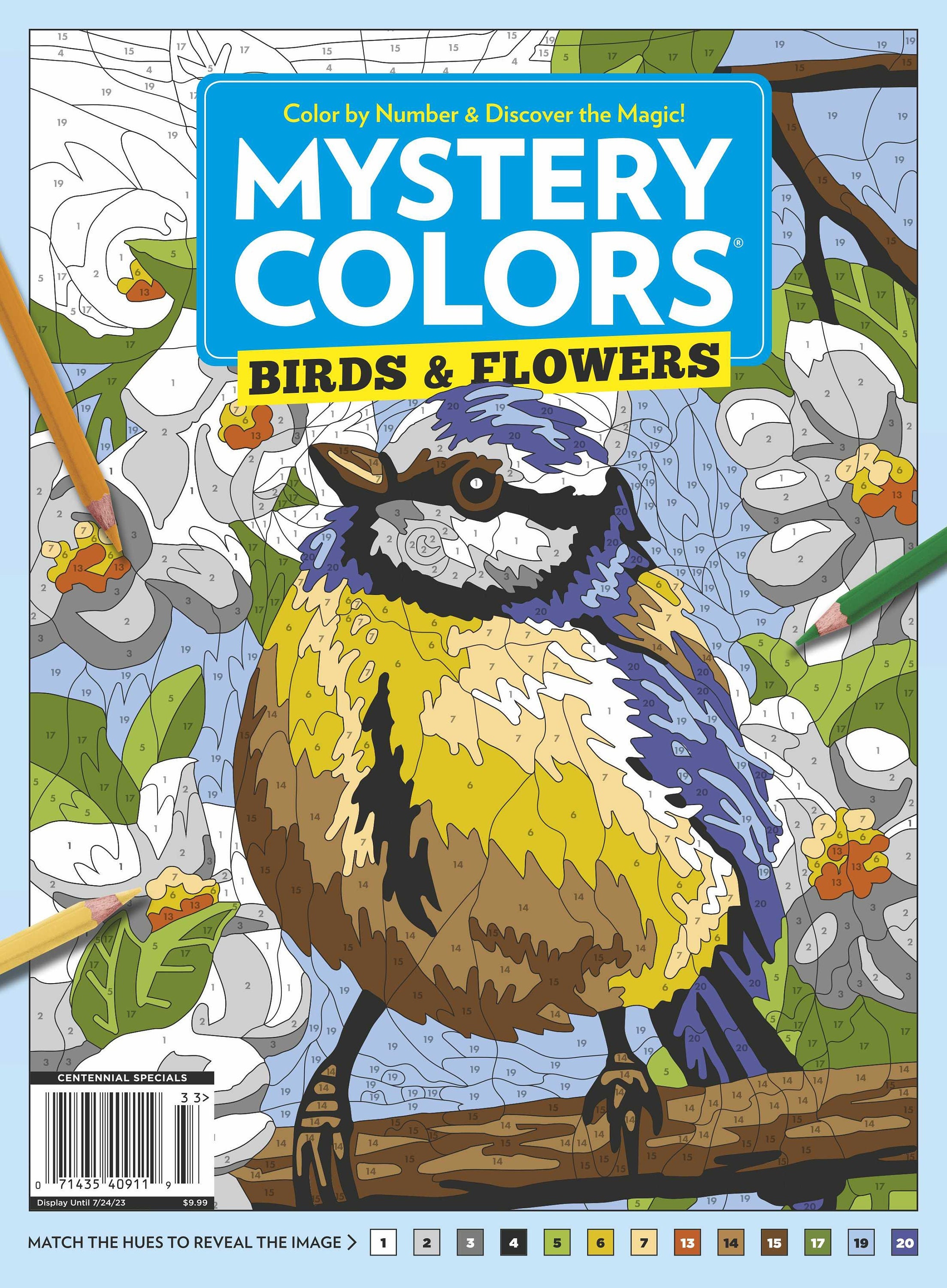 MyStery Color By Number Coloring Book For Adult: Magical Your Art Book  Creative Mystery Color By Number Beautiful Seen, Animals, Horses, Dogs, &  More! (Paperback)