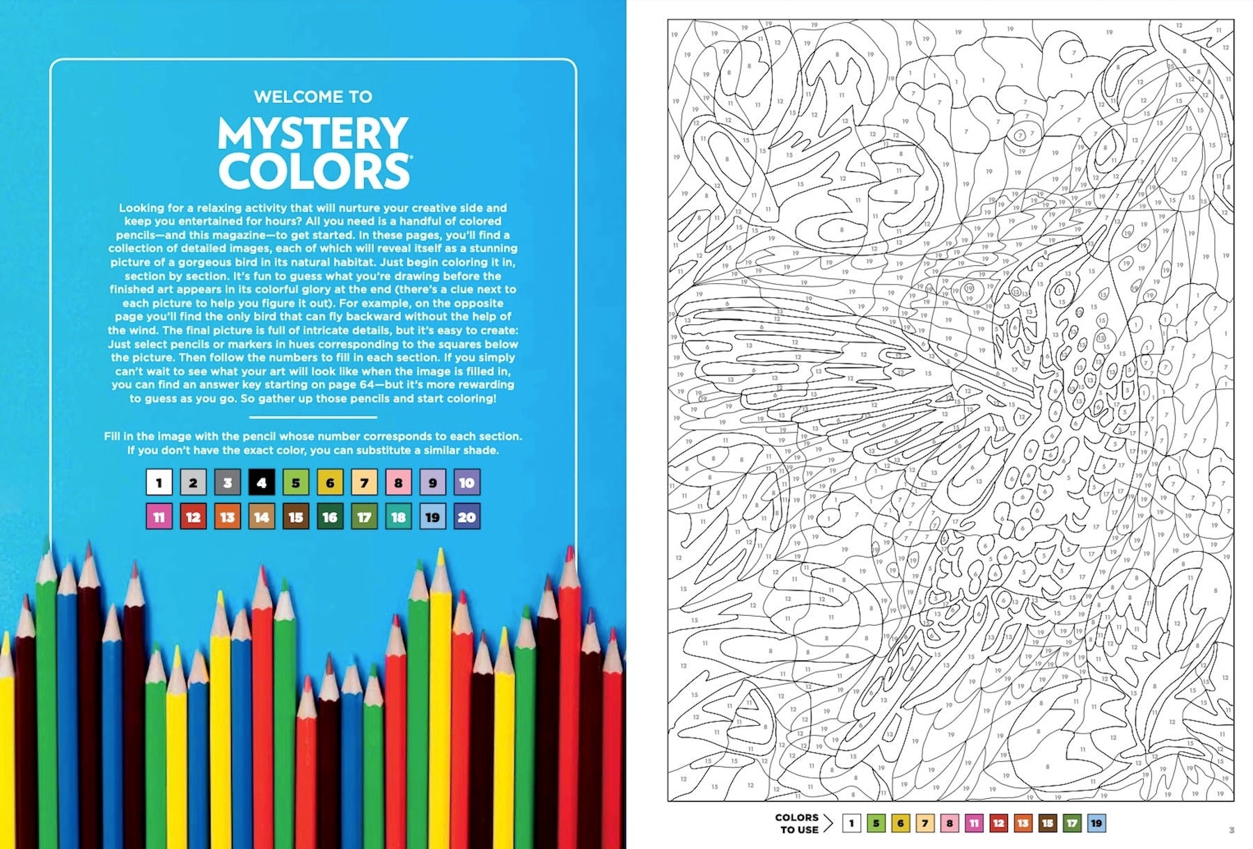 Mystery Color By Number For Adults Pdf Printable - Free Coloring Sheet ...