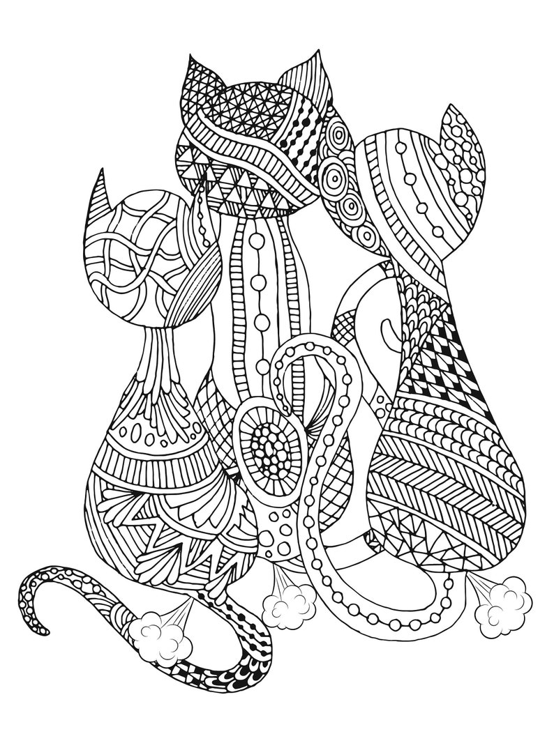 Cat Farts Coloring Book Volume 9 Thats What You Get Human Etsy