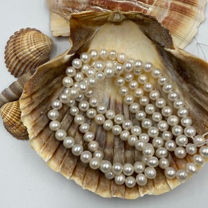 Loose Natural Authentic Fresh Water Pearls Round AAA 6mm,DIY Necklace Bracelet Earrings Jewelry Making