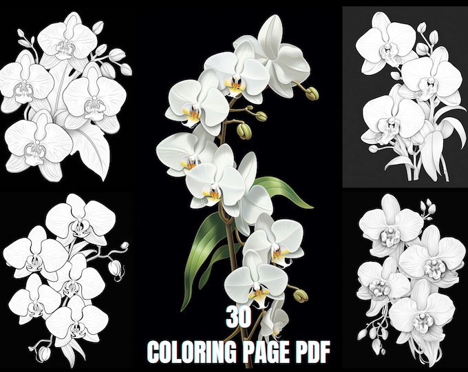 Exquisite Orchid Coloring Pages - Relaxation Art for Adults & Teens, Detailed Floral Designs