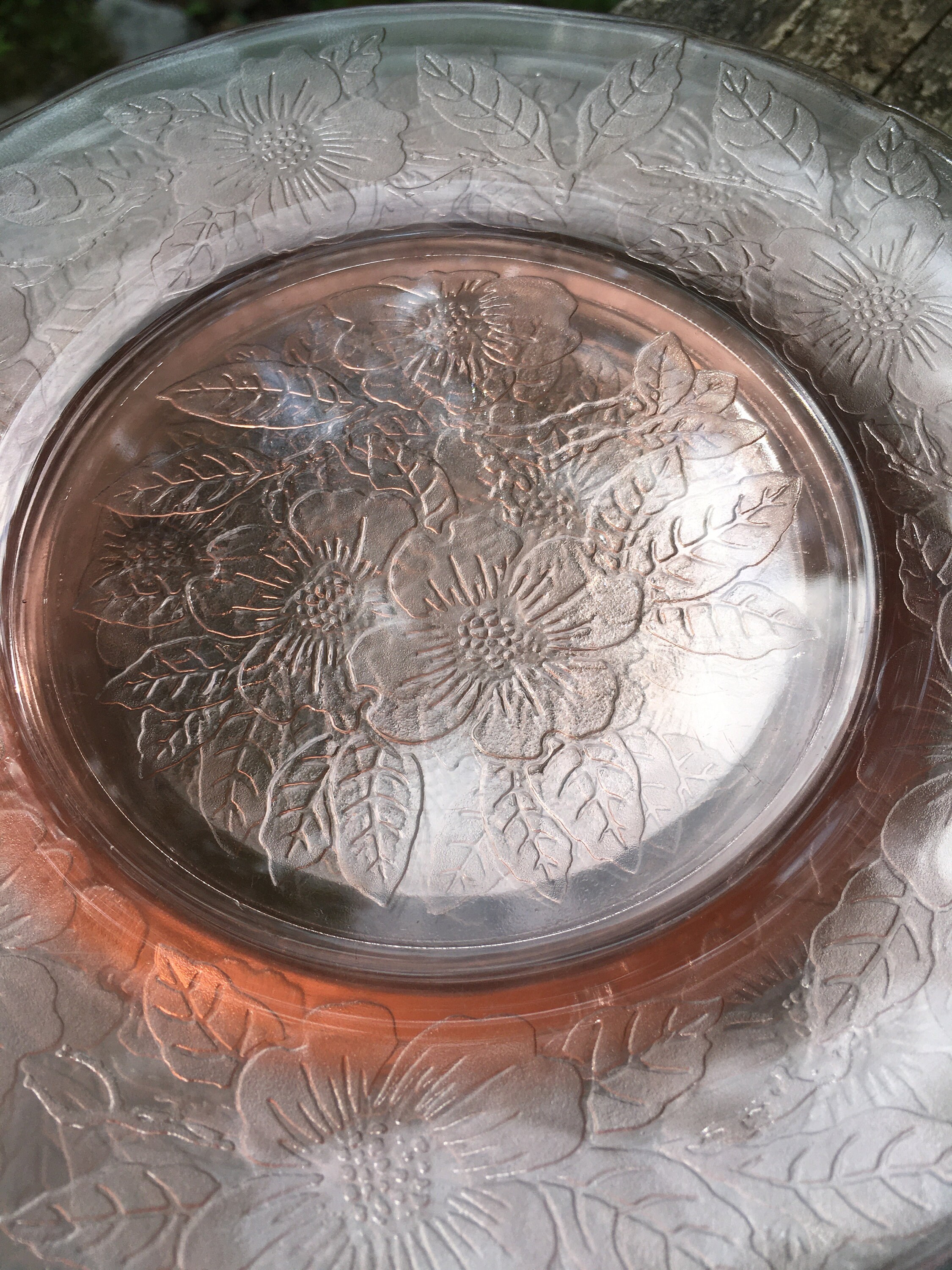 Set of 6 Pink Dogwood Depression Glass Plates Etsy