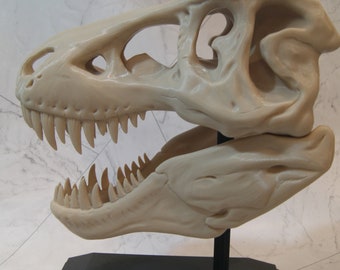 T-Rex Skull Display with stand