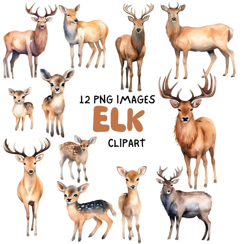 12 Cute Elk Clipart Bundle, Watercolor, Nursery Wall Art, Kids Room ...