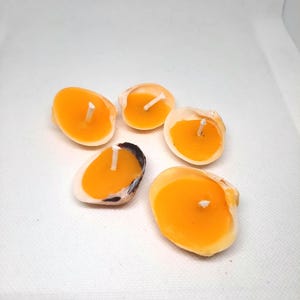 Puede incluir: Cinco velas de concha con cera naranja y mechas blancas. Las conchas son de varios tamaños y formas, con colores y texturas naturales. Las velas están dispuestas sobre una superficie blanca.