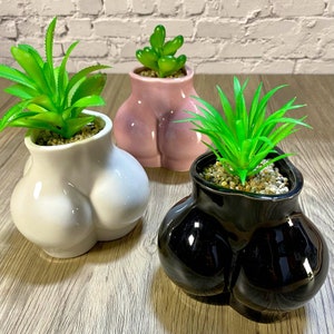 May include: Three ceramic planters shaped like a rear end, each holding a faux succulent. The planters are white, pink, and black, with a glossy finish. The plants are bright green, and the planters are filled with small pebbles.