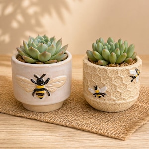 May include: Two small ceramic plant pots with succulents. One is off-white with a raised bee design. The other is beige with a honeycomb pattern and bee accents. Both pots contain green succulents and sit on a brown woven mat.