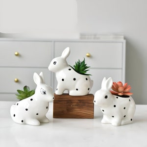 Ceramic White Rabbit Succulent Plant Pots / Small Desktop Plant Pot / Indoor Office Home Decor / Cute Animal Planters House Warming Gift