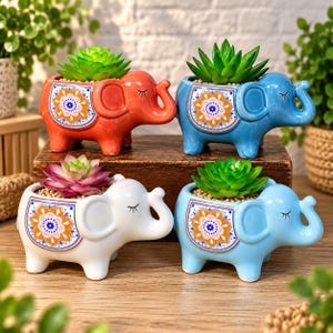 May include: Four ceramic elephant-shaped planters in orange, blue, white, and light blue. Each elephant features a decorative floral pattern on its side and holds a small green or pink succulent plant in the opening on its back.