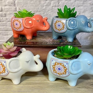 May include: Four ceramic elephant planters with colourful floral patterns. Each planter has a succulent plant inside. The planters are in various colours, including blue, pink and white.