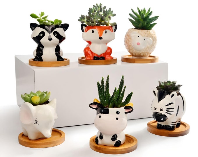 Animal Succulent Planters WITH Bamboo Coaster / Small Desktop Plant Pot / Indoor Office Home Decor / Cute Animal Planters / Gift Idea