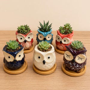 Owl Succulent Plant Pots WITH Bamboo Coaster / Quirky Indoor Home Decor / Ceramic Mini Planter  / Office Desktop Plant Pot / Home Gift