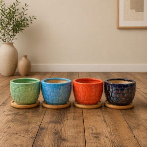 May include: Four ceramic plant pots in green, blue, orange, and dark blue, each with a textured, honeycomb pattern. The pots sit on small, round wooden saucers. The background includes a wooden floor and a neutral-coloured wall.