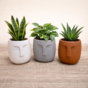 Human Face Plant Pots / Nordic Style Human Head Planter /  Head Planter / Ceramic Sculpture Ornament Home Planter / Quirky Gift Idea
