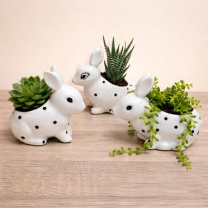 Ceramic White Rabbit Succulent Plant Pots / Small Desktop Plant Pot / Indoor Office Home Decor / Cute Animal Planters House Warming Gift