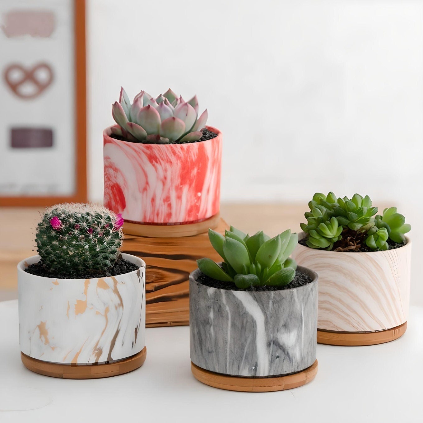 Round Ceramic Marble Effect Succulent Planters WITH Bamboo Coaster / Small Desktop Plant Pot / Indoor Office Home Decor / Gift Idea