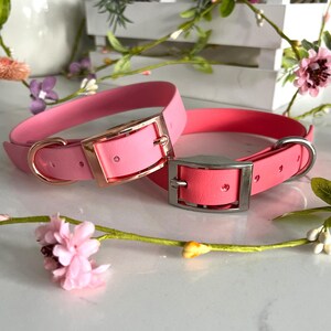 May include: Two pet collars in shades of pink. The left collar is a light pink with a rose gold buckle and D-ring. The right collar is a vibrant coral pink with a silver-toned buckle and D-ring. Both collars feature multiple adjustment holes.