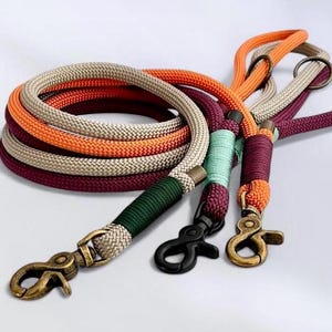 May include: A multi-coloured rope dog lead with three different coloured ropes, a green, beige, and burgundy rope, and a dark green rope with a mint green stripe. The lead has two metal clasps, one black and one gold.