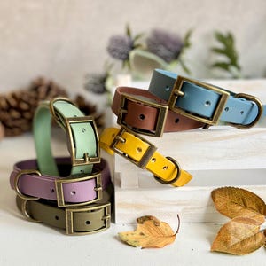 A selection of dog collars in various colours with Antique Brass hardware stacked against a rustic box with leaves in the background with s few at the front.