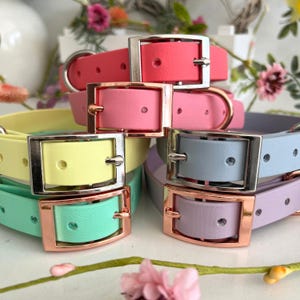 May include: A collection of five adjustable collars in pastel and bright colors including coral, pink, yellow, mint green, light blue, and lavender. Each collar features a smooth finish, a metal buckle, and a D-ring for attachment, with silver or rose gold hardware.