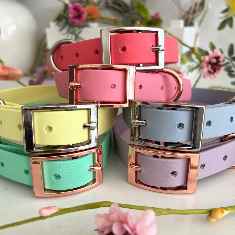 May include: A collection of five adjustable collars in pastel and bright colors including coral, pink, yellow, mint green, light blue, and lavender. Each collar features a smooth finish, a metal buckle, and a D-ring for attachment, with silver or rose gold hardware.