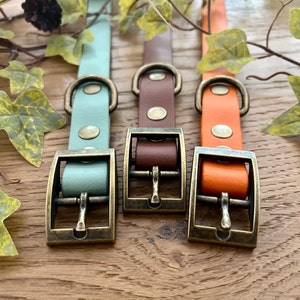 May include: Three collars in light blue, brown, and orange, each featuring a smooth finish and antique brass-toned metal hardware. The hardware includes a rectangular buckle, a D-ring, and two rivets securing the strap, providing a functional design.